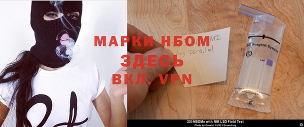 трава Гусиноозёрск