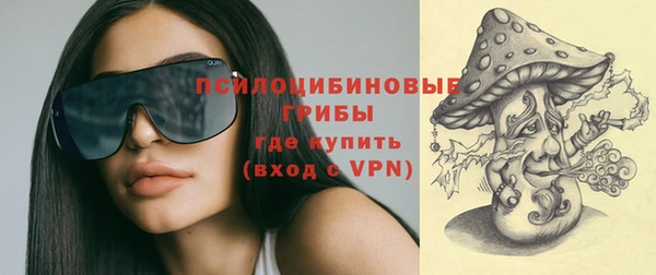 трава Гусиноозёрск