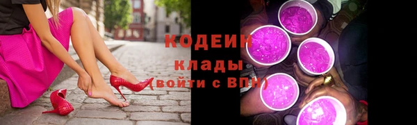 трава Гусиноозёрск