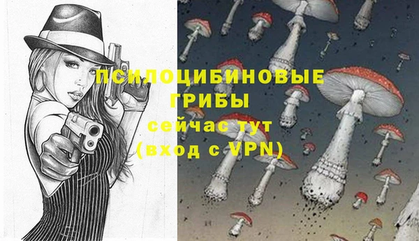 амф Чердынь