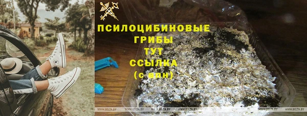 трава Гусиноозёрск