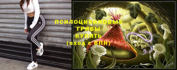 трава Гусиноозёрск