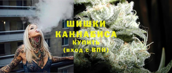 трава Гусиноозёрск