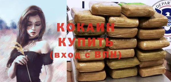 трава Гусиноозёрск