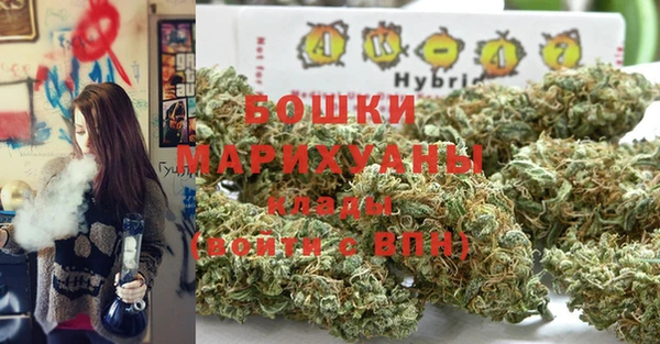 не бодяженный Гусев