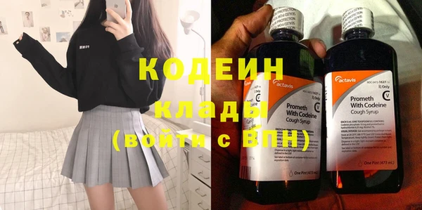 трава Гусиноозёрск