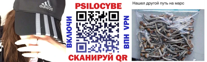 Купить Мураши Псилоцибиновые грибы мухоморы